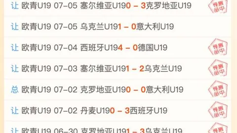 足球攻略周二001亚冠前瞻：江原对大阪钢巴独家推荐与解析